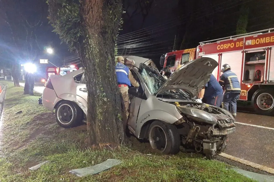 A jovem era passageira de um Ford Fiesta, modelo sedan, que bateu contra uma árvore em Curitiba