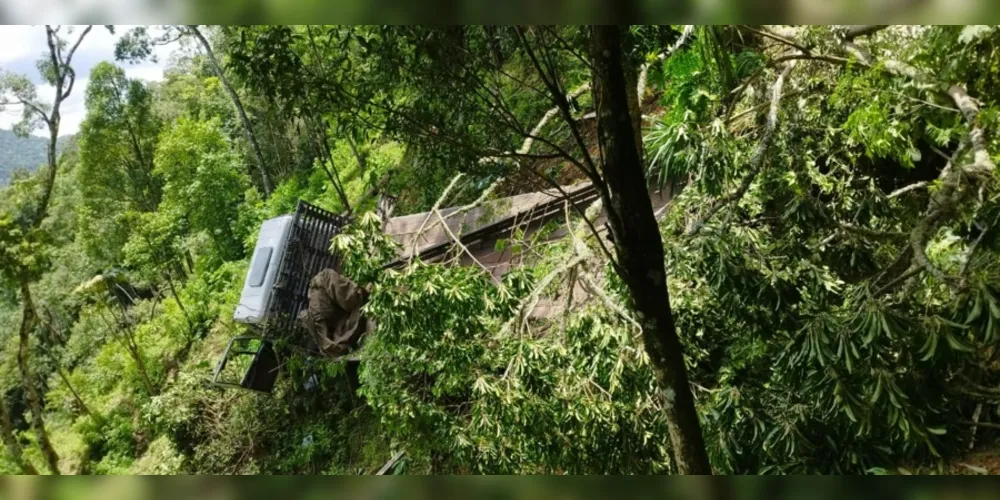 Vítima teve ferimentos moderados, foi socorrida e encaminhada para o Hospital do Rocio