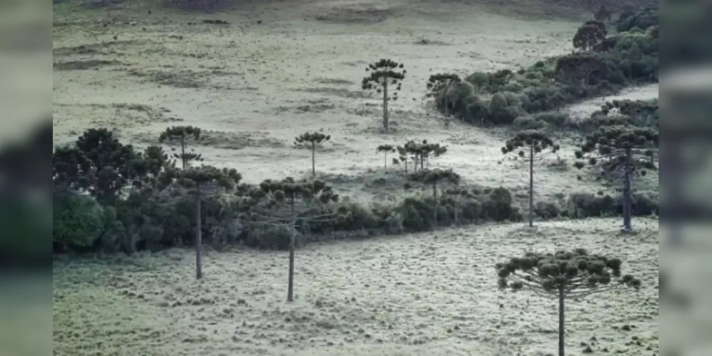 Algumas regiões de Santa Catarina têm alerta de baixa umidade relativa do ar nesta quinta-feira, variando entre 30% e 20%, o que pode trazer riscos à saúde