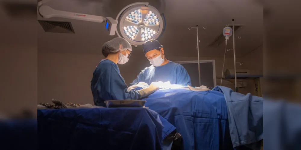 Hospitais das universidades estaduais do Paraná registram aumento na captação de órgãos e tecidos