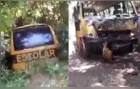 Ônibus escolar cai em ribanceira e acidente deixa feridos no Paraná