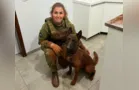 Cão da PM que fugiu de viatura é localizado no Paraná