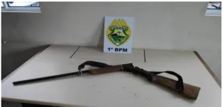 Arma foi encontrada em cima de um guarda-roupa em uma das residências