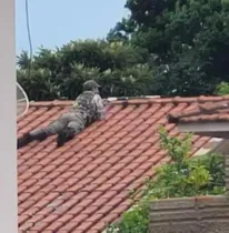 Homem vestia roupas militares e atirava de cima de um telhado