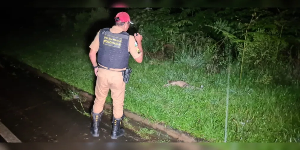 O acidente aconteceu entre Ponta Grossa e Carambeí