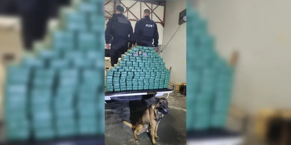 Operação contra o tráfico internacional de drogas atingiu Ponta Grossa