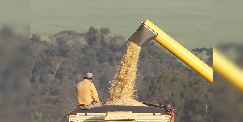 Somadas, a primeira e a segunda safras de milho podem render 18,2 milhões de toneladas do Paraná