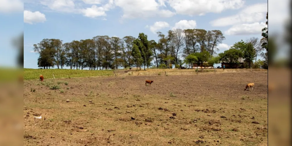 Imagem ilustrativa da imagem Cidades gaúchas vão receber mais R$ 701 mil para combater seca