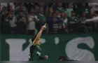 Brasileirão: Palmeiras assume a liderança e Fla se recupera