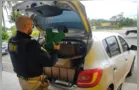 Polícia Rodoviária Federal apreende 225 kg de maconha na BR-277