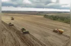 Colheita de soja e milho supera 50% da área plantada no Paraná