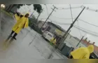 Árvore cai e bloqueia trânsito na Visconde de Mauá