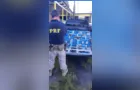 PRF apreende 11 mil maços de cigarro na BR-277 entre PG e Curitiba