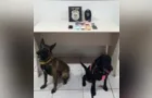 Polícia prende suspeitos de tráfico na 31 de Março e Vila Francelina