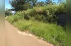Abandono em terreno da antiga RFFSA preocupa moradores em Oficinas
