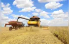 Colheita da soja evolui de 17% para 30% no Paraná
