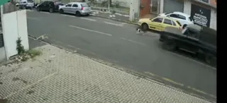 Cão não consegue escapar do veículo na região da Palmeirinha