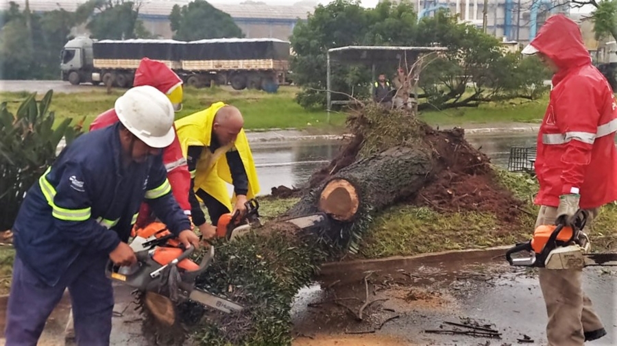 No início da tarde desta sexta-feira (10), novas pancadas de chuvas afetaram os deslocamentos em algumas regiões da cidade