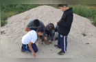 Arte ambiental estimula potencialidades em Castro