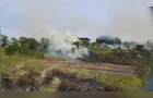 Incêndio ambiental em Uvaranas mobiliza Bombeiros