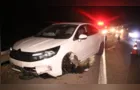 Cavalo solto é atropelado na BR-376 e quase causa grave acidente