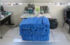 PM apreende mais de 240 quilos de drogas em bairro de PG