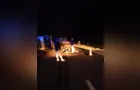 Caminhão carregado com soja tomba na BR-376 em PG