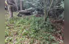 Restos mortais encontrados em PG são de homem morto em 2019