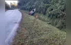 Veículo capota na estrada em Irati e condutor fica ferido