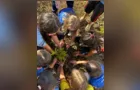 Atividades sobre o meio ambiente mobilizam alunos de Palmeira