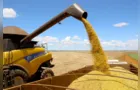 Agricultura prevê aumento estimado em 46,85 mi de toneladas na safra