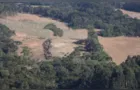 Caminhoneiro é assaltado e fica dois dias em mata no PR