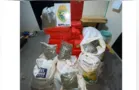 Equipes policias apreendem mais de meia tonelada de drogas no PR