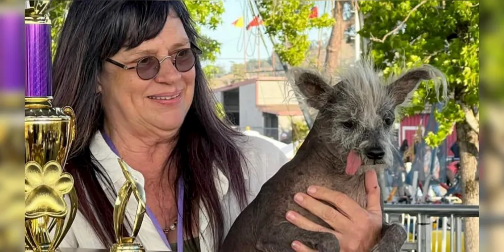 Competição do cachorro mais feio do mundo está com inscrições