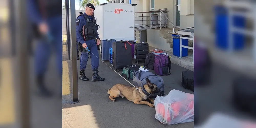 Durante a ação, os agentes da GCM utilizaram cães farejadores para inspeção das bagagens