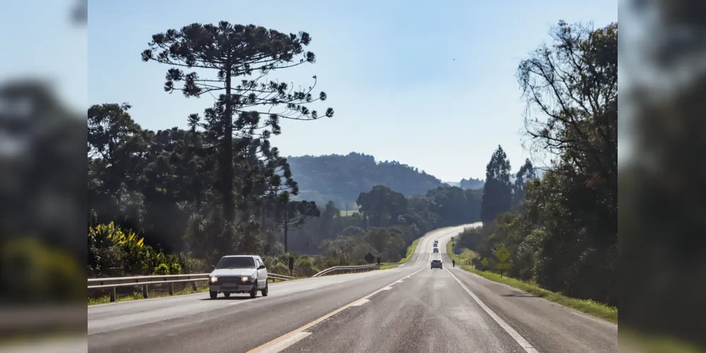 Consórcio Infraestrutura PR arremata lote 2 do novo pedágio 