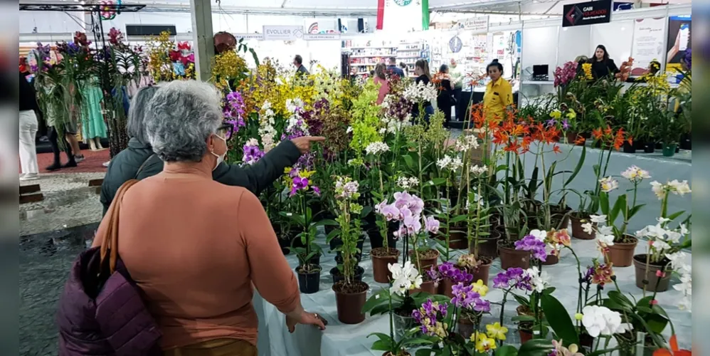 Exposição de Flores de Holambra, acontece entre os dias 06 e 17 de setembro, das 09h às 21h, no Parque Ambiental