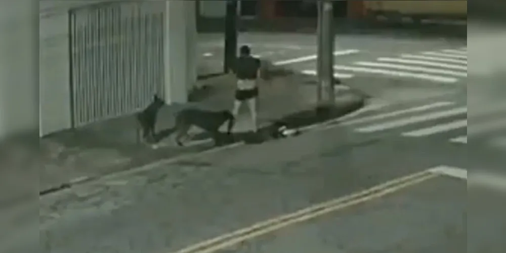 As imagens das câmeras de segurança mostram a vítima tentando escapar das mordidas
