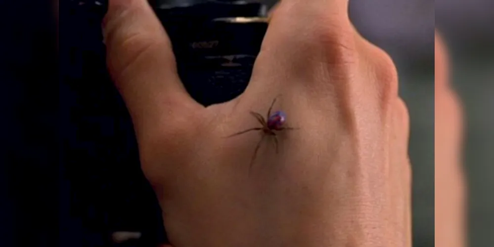 Cena do filme Homem Aranha mostra aranha picando o personagem principal