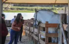 Programação agro da 2ª ExpoIrati terá novidades para o público