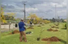 Polícia Penal ajudará a plantar 200 árvores em Ponta Grossa