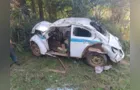 Motorista de 72 anos bate o carro contra árvore e morre