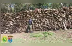Polícia Ambiental apreende lenha nativa em Prudentópolis
