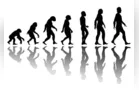 Videoaula aborda a evolução das espécies