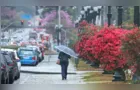 INMET emite alerta amarelo para Ponta Grossa