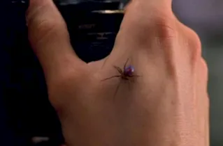 Cena do filme Homem Aranha mostra aranha picando o personagem principal