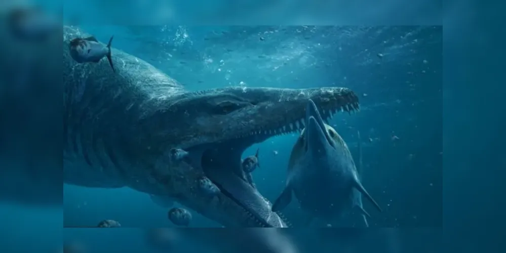 Animal é gigante sendo encontrado no mar da Inglaterra