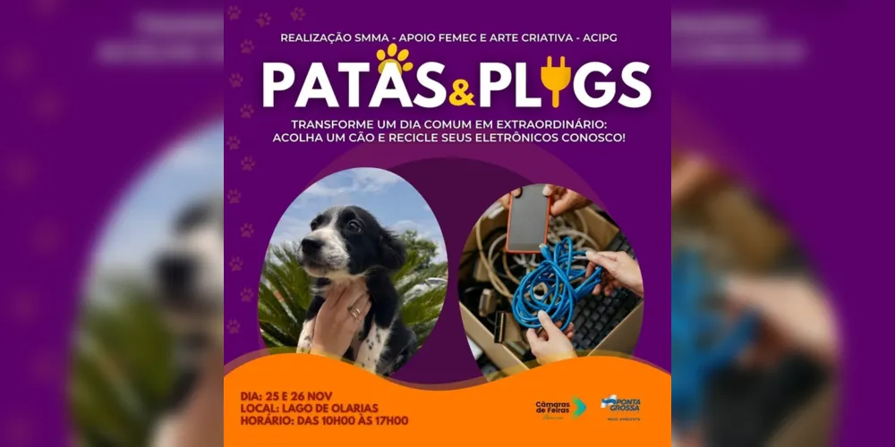 O ‘Patas e Plugs’ representa esforço significativo para promover a adoção responsável de animais e a conscientização ambiental na comunidade.