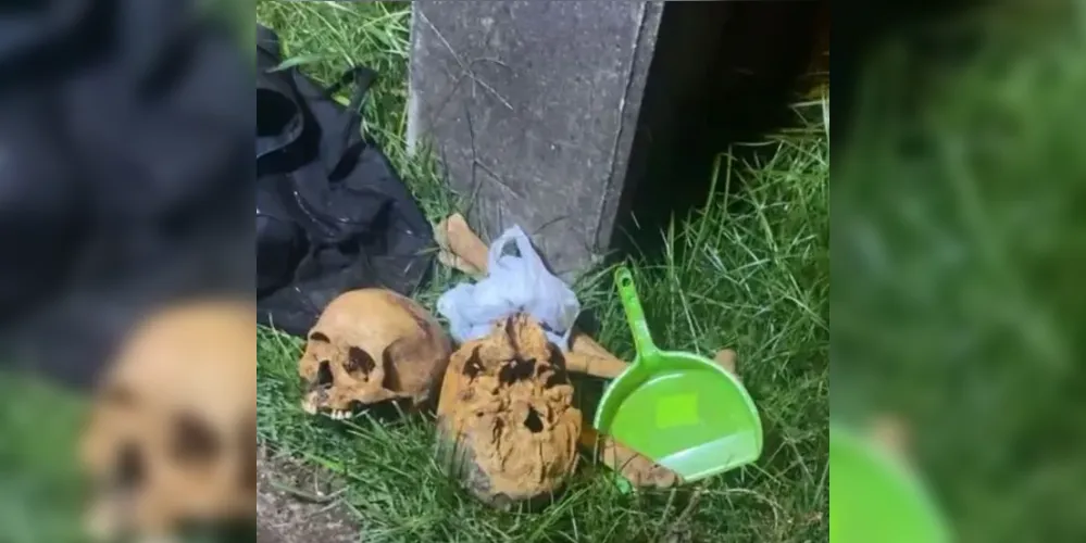 Dois crânios humanos foram localizados com as suspeitas