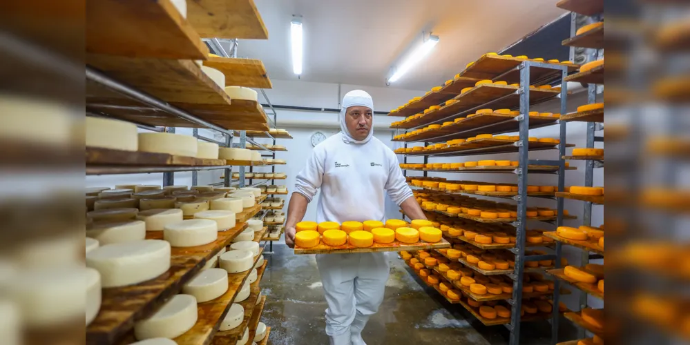 Witmarsum, Indicação Geográfica dos queijos